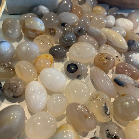 DENDRIC AGATE TUMBLED