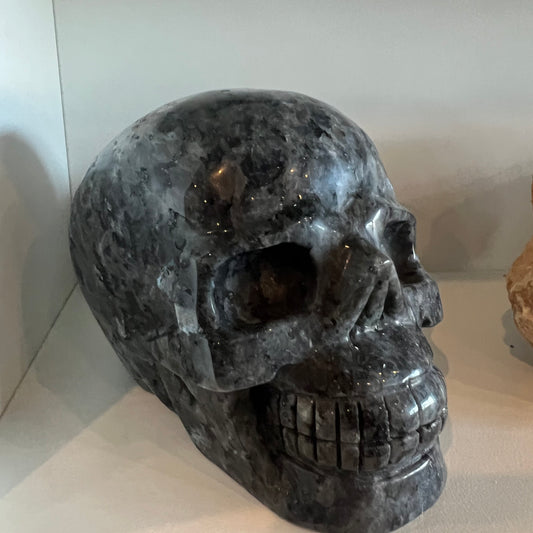LARVIKITE XL SKULL